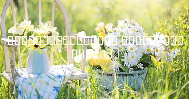 �����Ǯ���������� �����Ǯ�����˿ɿ���